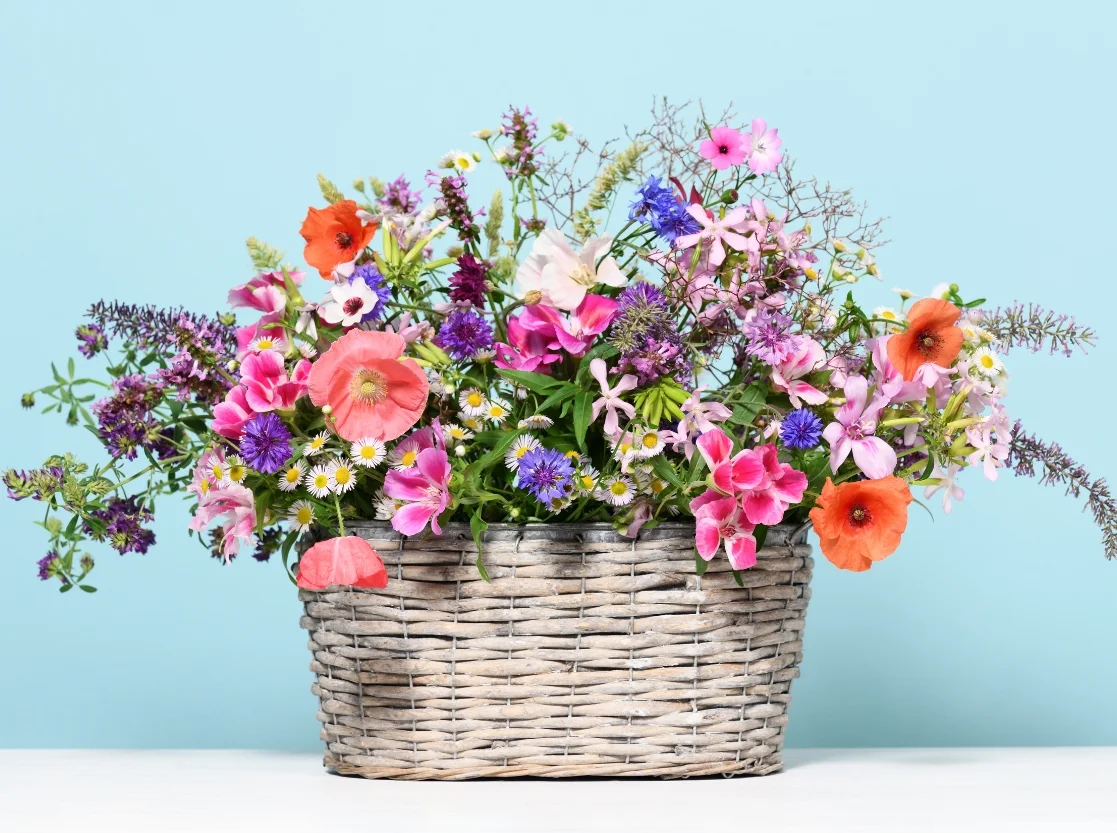 Flower Basket Arrangements in Udaipur