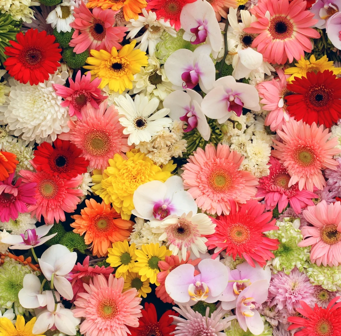 Our Floral Expertise