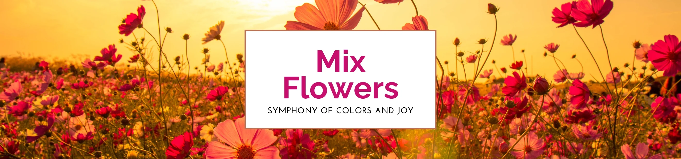 Mix Flowers